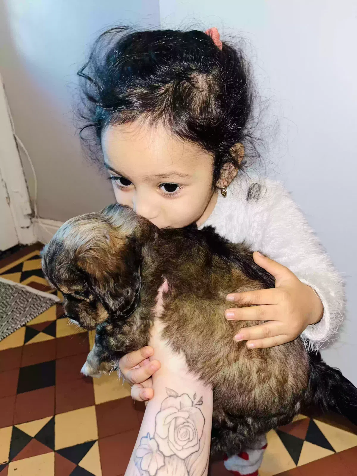 Beto, Unknown Dog for adoption in Armagh, Northern Ireland
