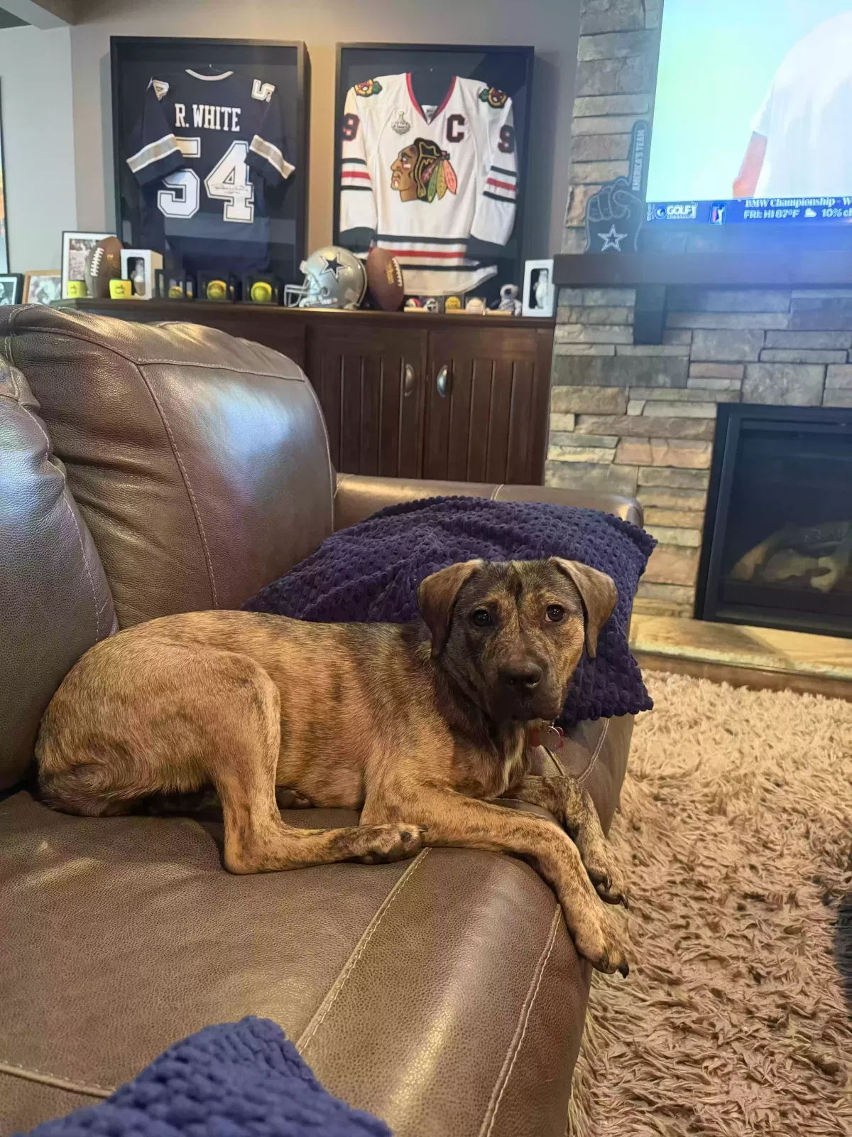 Roo, Mixed breed Dog for adoption in Acworth, GA, 30101