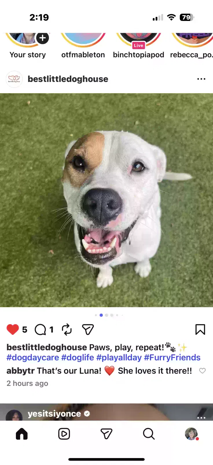 Dog, Pittie mix Dog for adoption in Smyrna, GA, 30082