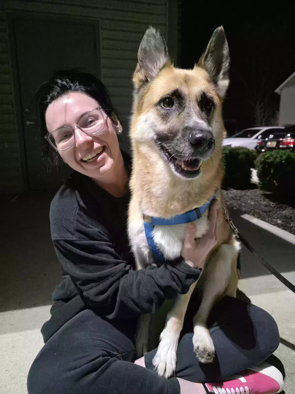 Jocy, German Shepherd Husky Mix Dog for adoption in Lafayette, IN, 47905