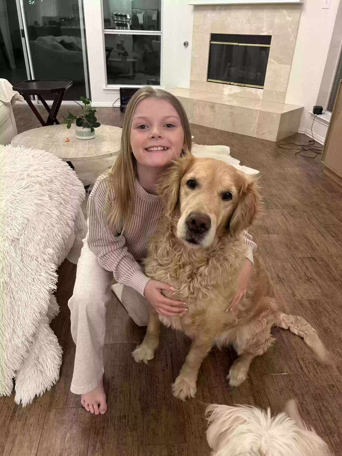Dog, Golden Retriever Dog for adoption in Mckinney, TX, 75071