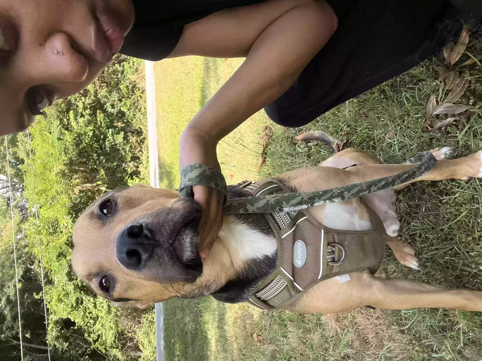 Ace, Unknown Dog for adoption in Atlanta, GA, 30310