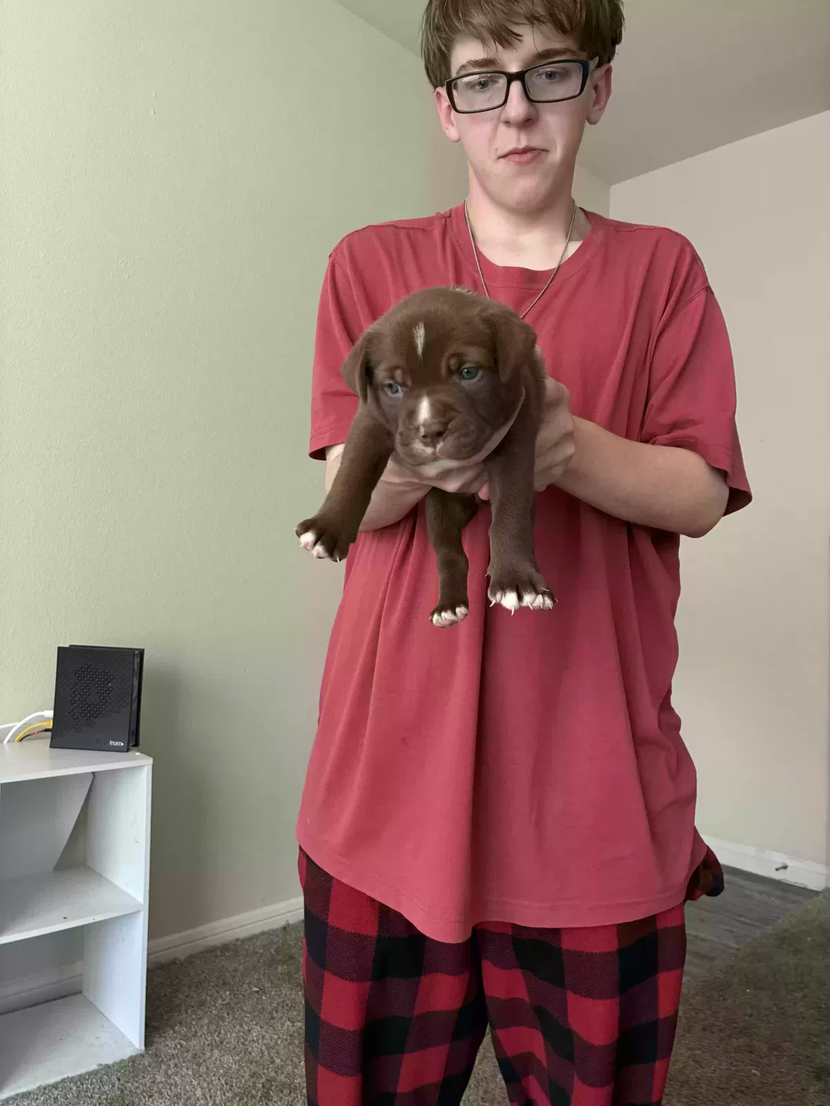 Dog, Unknown Dog for adoption in Beaumont, TX, 77713