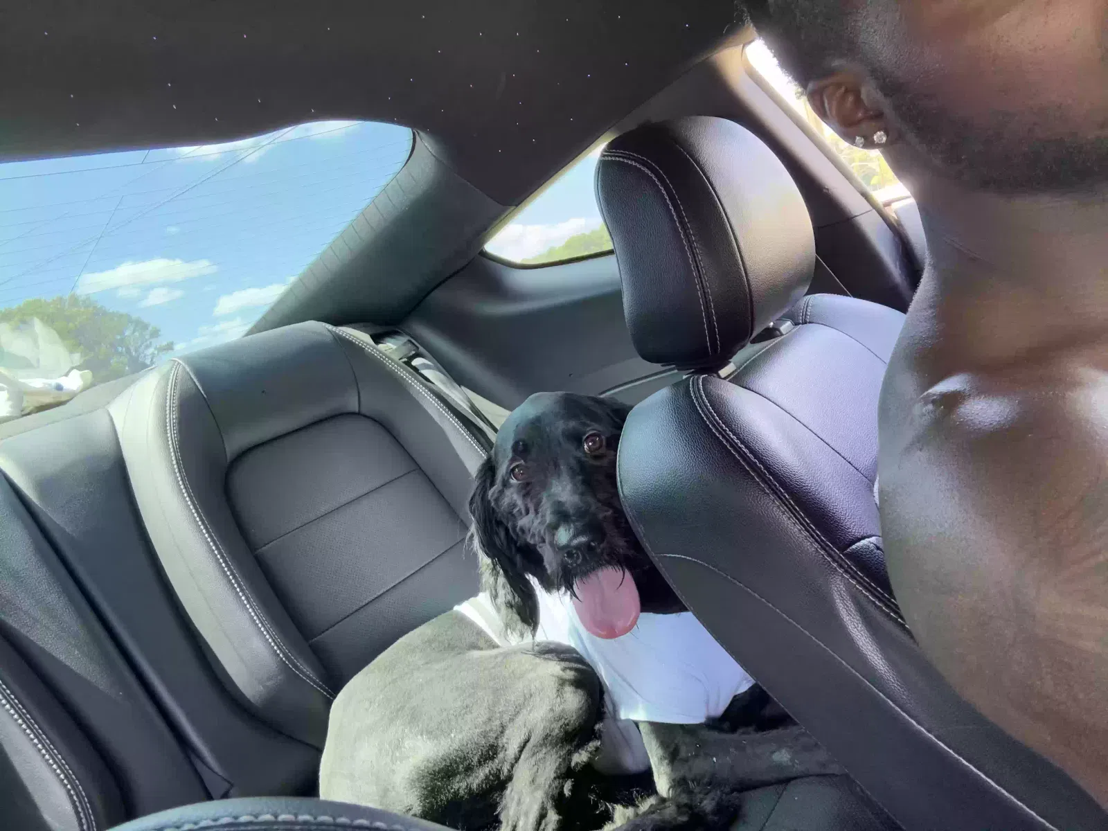 Rocco, Unknown Dog for adoption in Hampton, GA, 30228