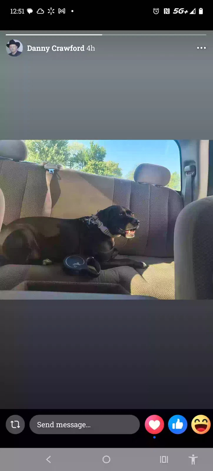 Dog, Lab Dog for adoption in Pittsburg, KS, 66762