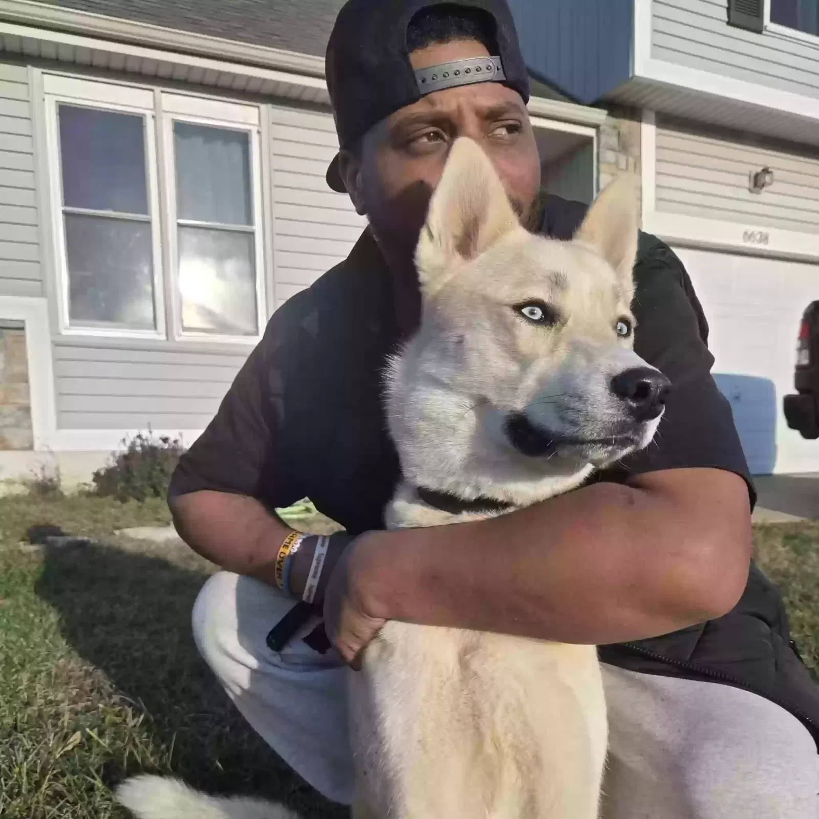 Dog, Unknown Dog for adoption in Overland Park, KS, 66223