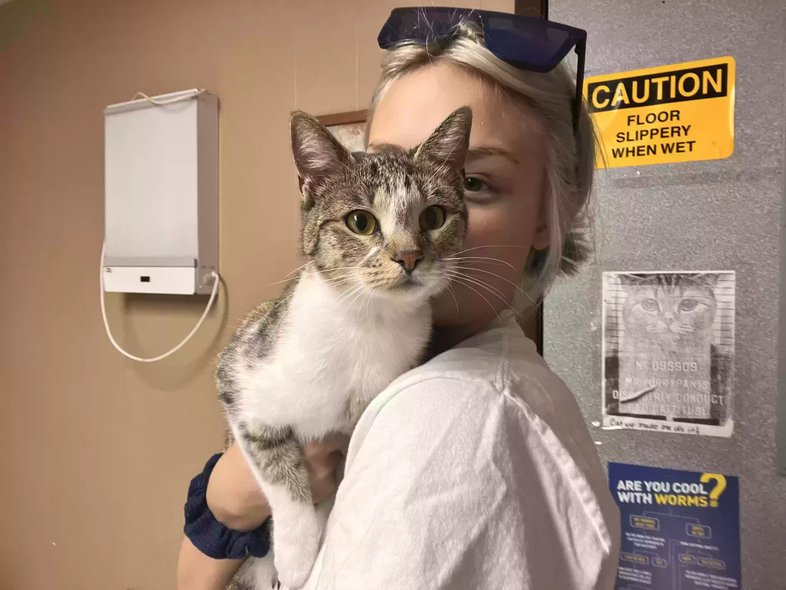 Princess, Unknown Cat for adoption in Santa Fe, TX, 77517