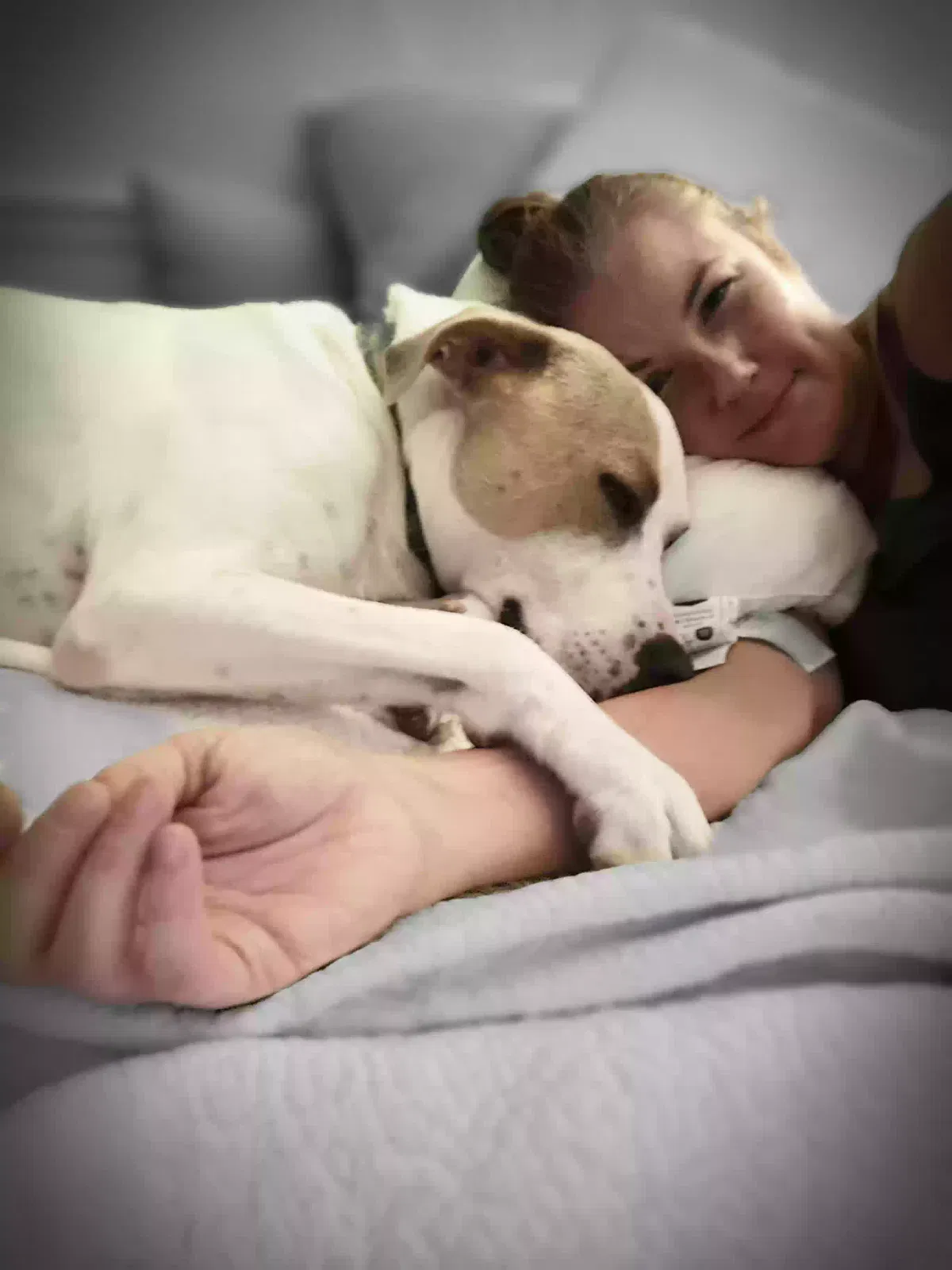 Grasshopper, Boxer pittbull Dog for adoption in Manhattan, KS, 66503