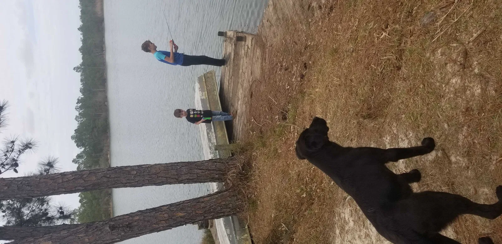 Lost dog in Ocean Springs, MS, 39564
