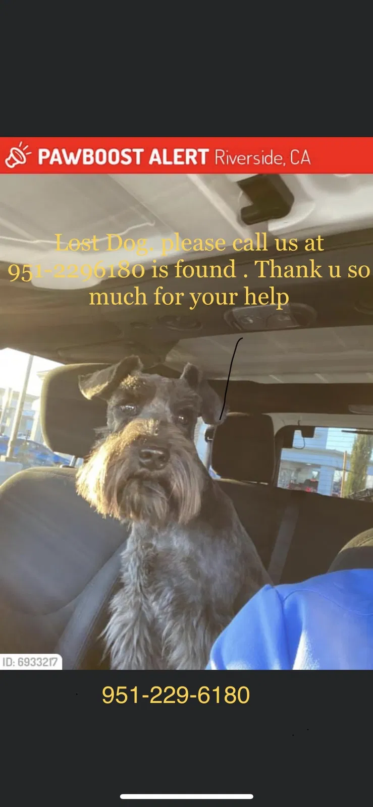 Lost dog in Riverside, CA, 92508