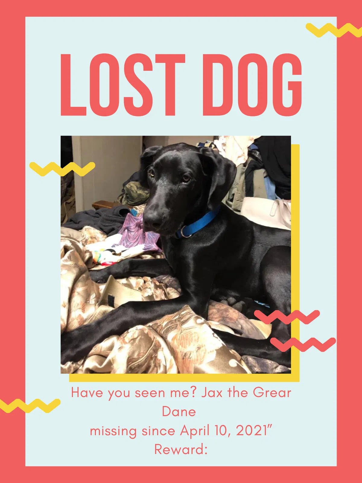 Lost dog in Mount Olive, MS, 39119
