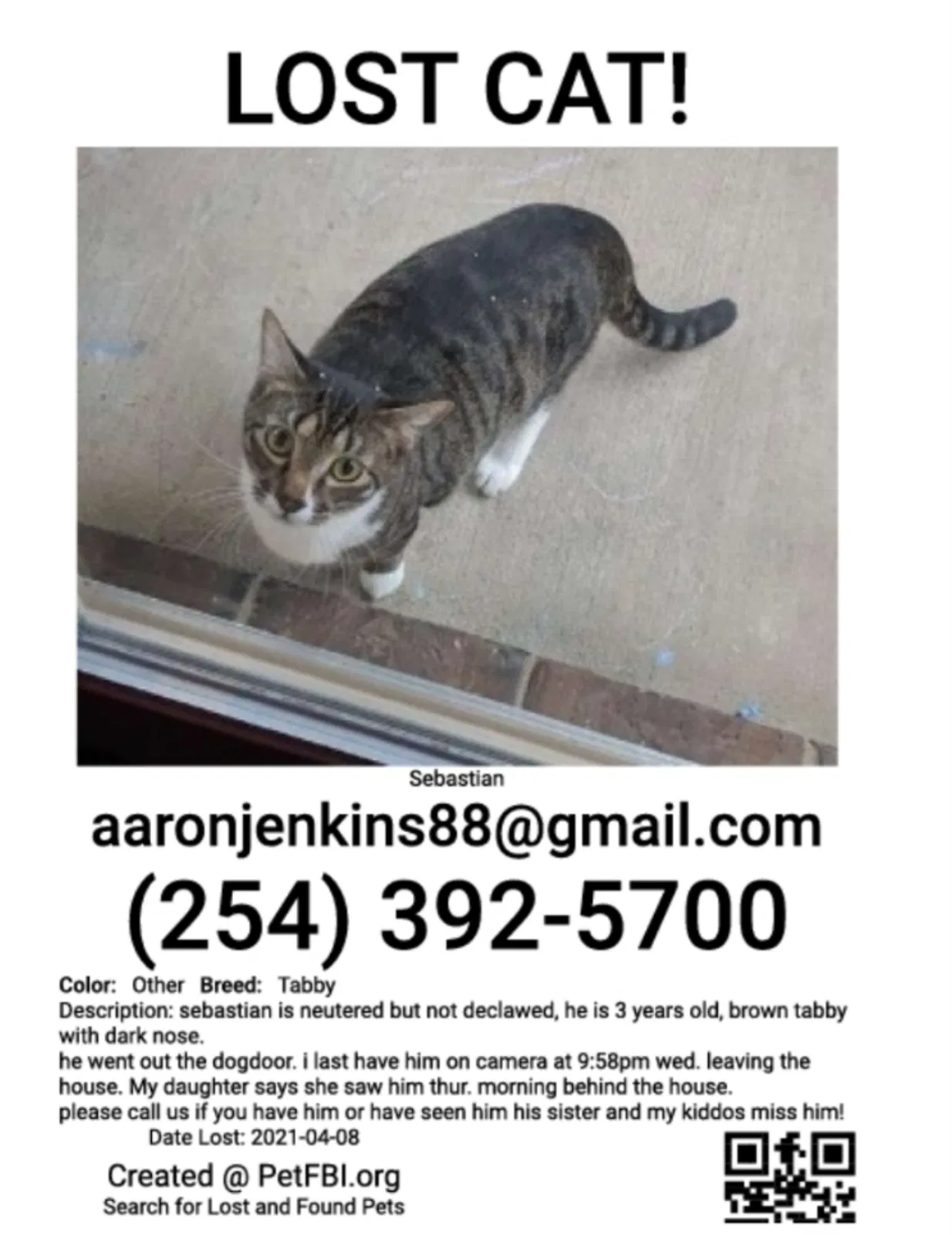 Lost cat in Belton, TX, 76513