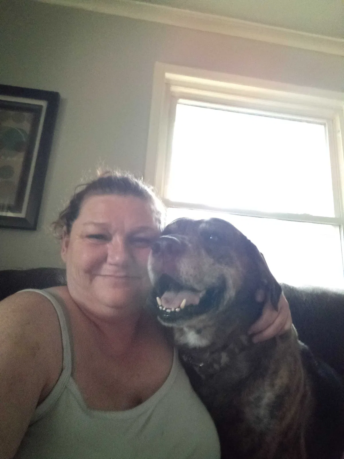 Lost dog in Tulsa, OK, 74129