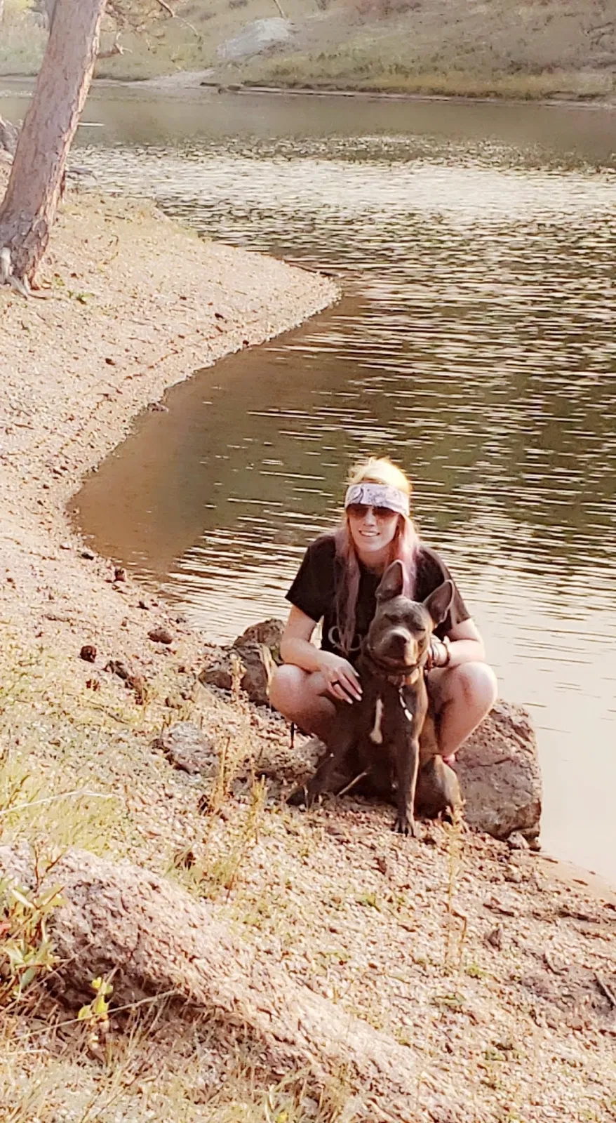 Missing Dog