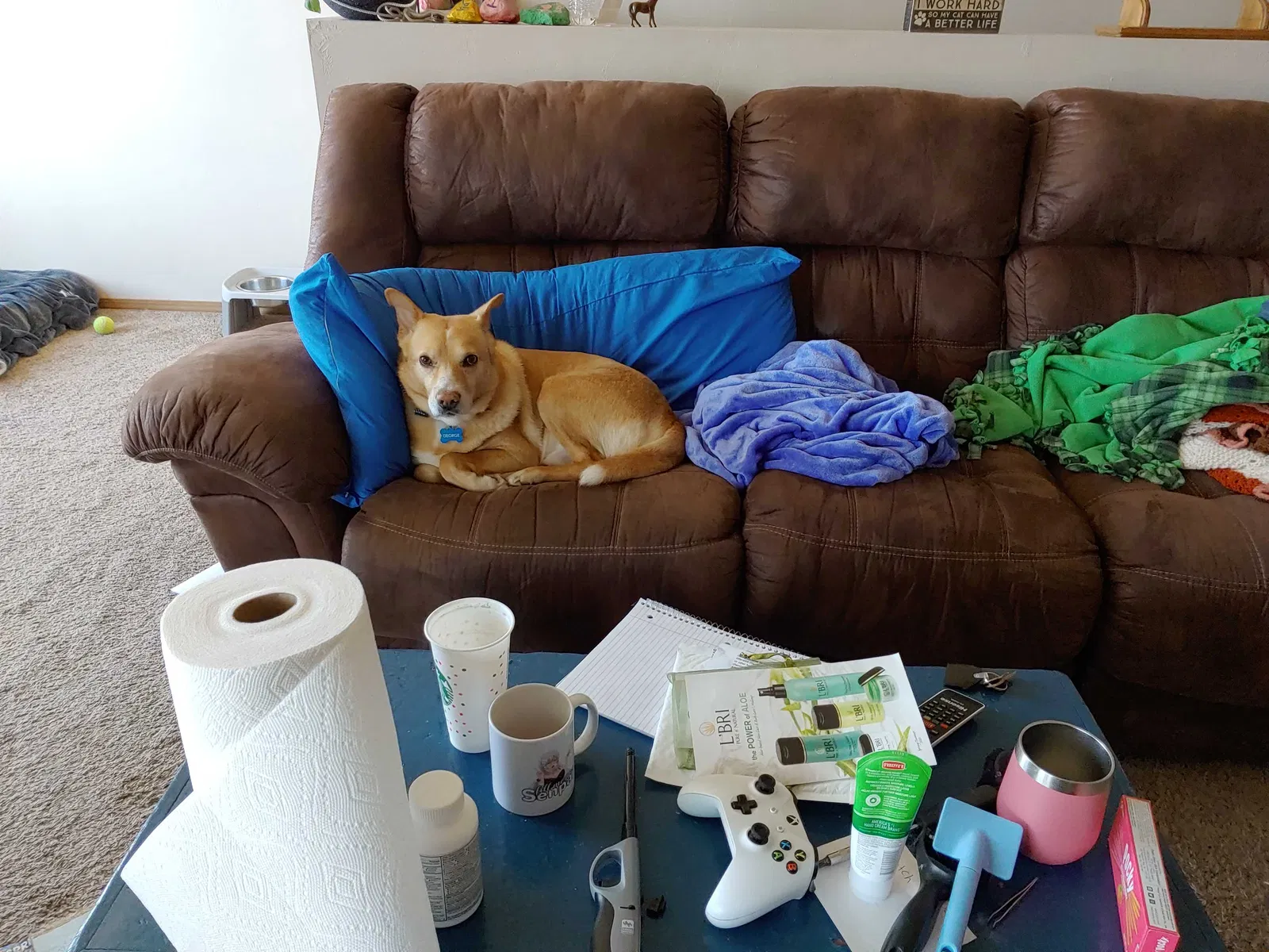 Lost dog in Mosinee, WI, 54455