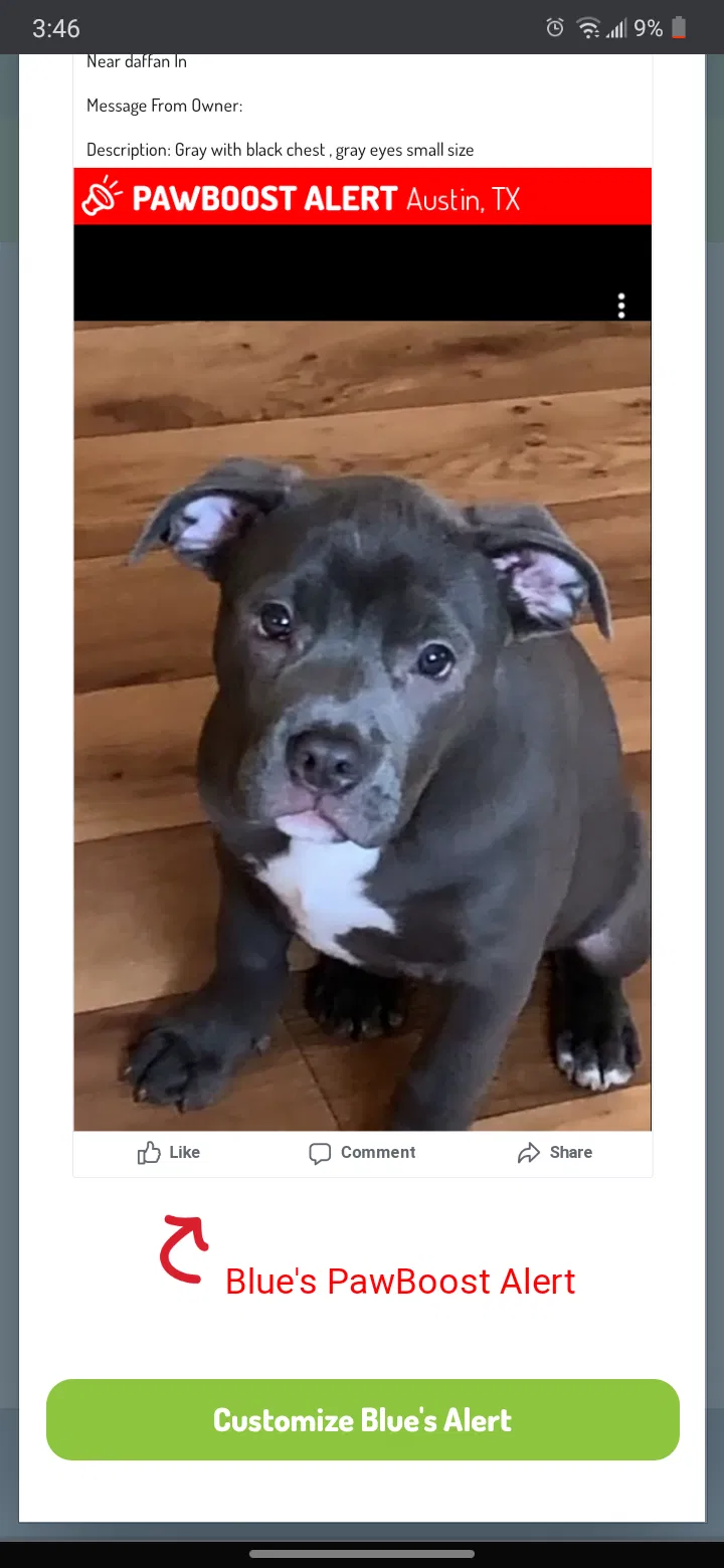 Lost dog in Austin, TX, 78724