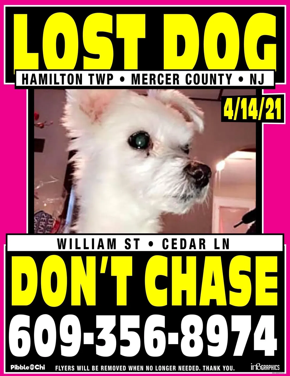 Lost dog in Trenton, NJ, 8610