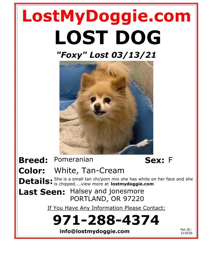 Lost dog in Portland, OR, 97220
