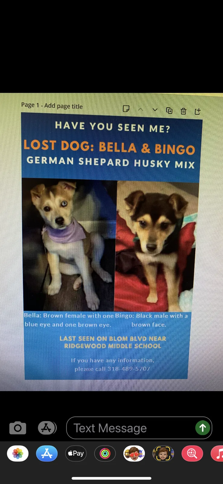 Lost dog in Shreveport, LA, 71118