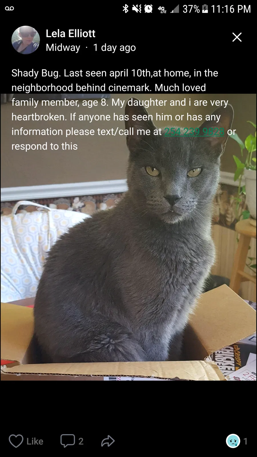 Lost cat in Temple, TX, 76502
