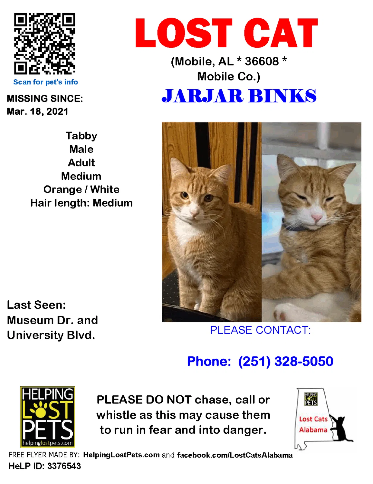 Lost cat in Mobile, AL, 36608