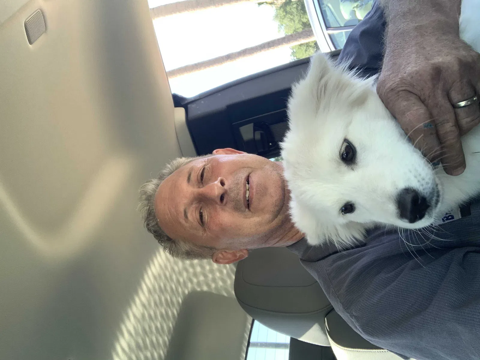 Lost dog in Bradenton, FL, 34207
