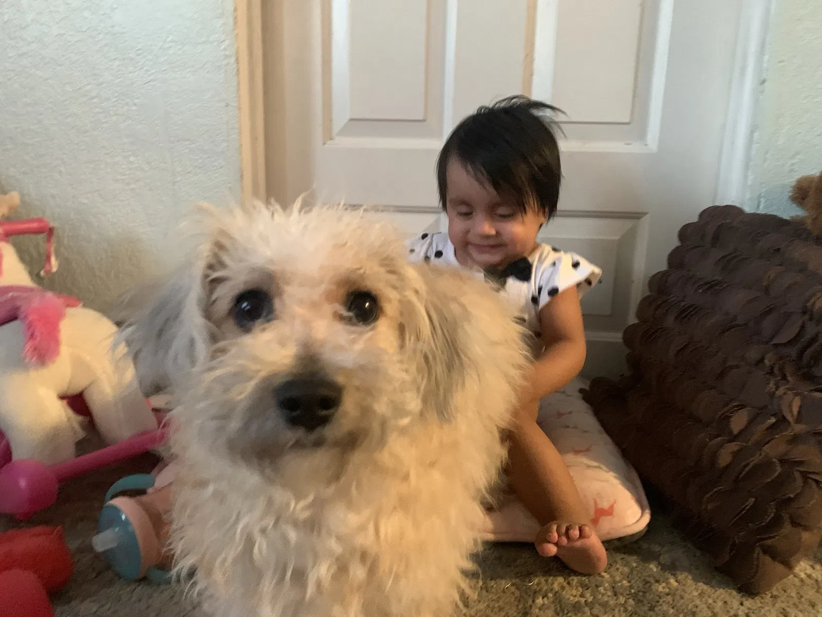 Lost dog in Perris, CA, 92570