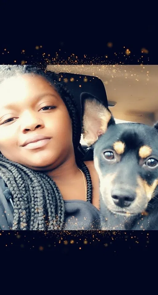 Lost dog in Lubbock, TX, 79413