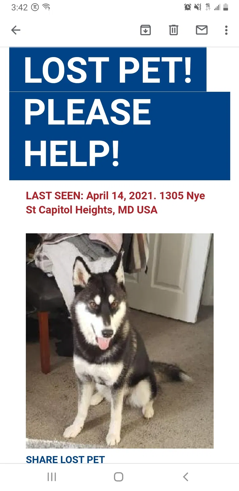Lost dog in Capitol Heights, MD, 20743