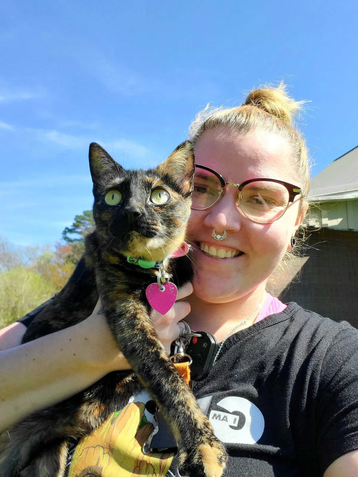 Lost cat in Knoxville, TN, 37924