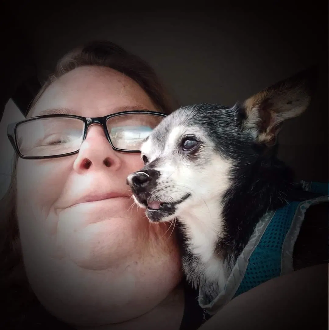 Lost dog in Niles, OH, 44446