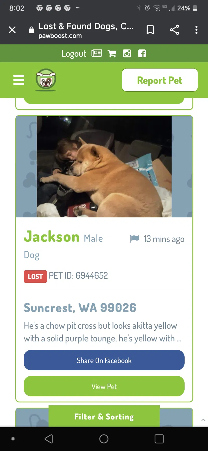Lost dog in Ford, WA, 99013