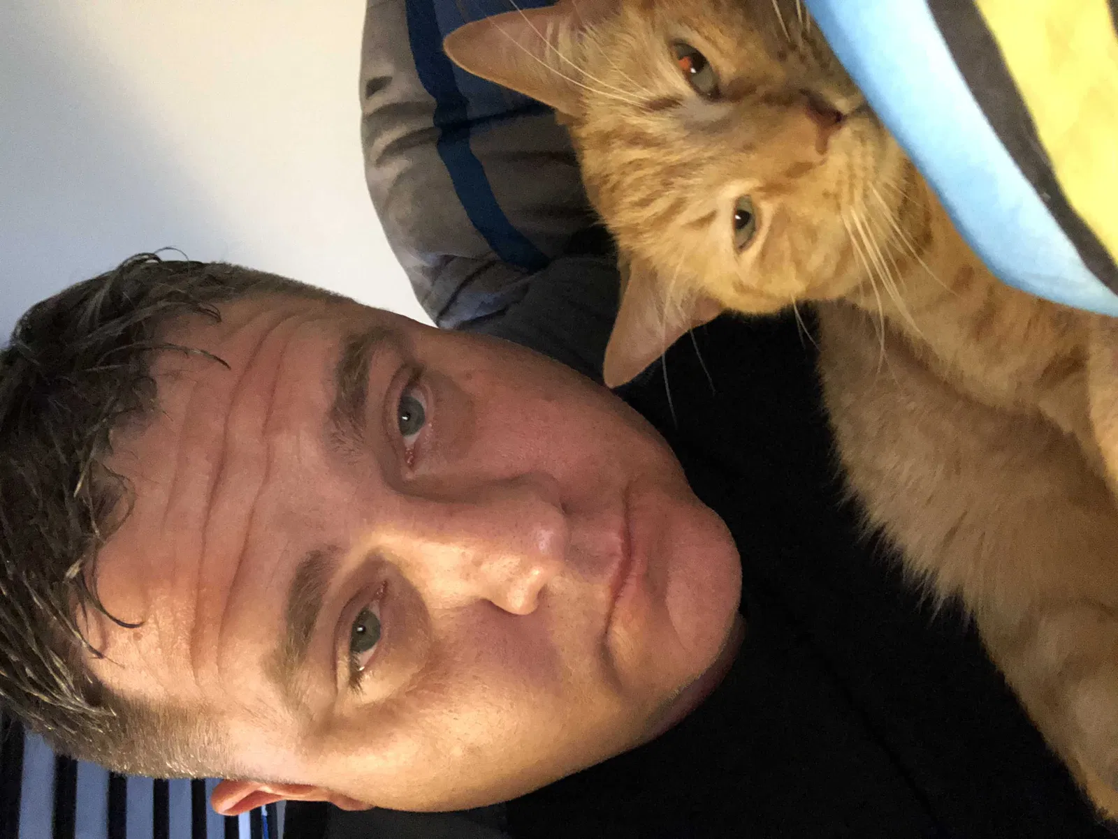 Lost cat in Mount Airy, MD, 21771