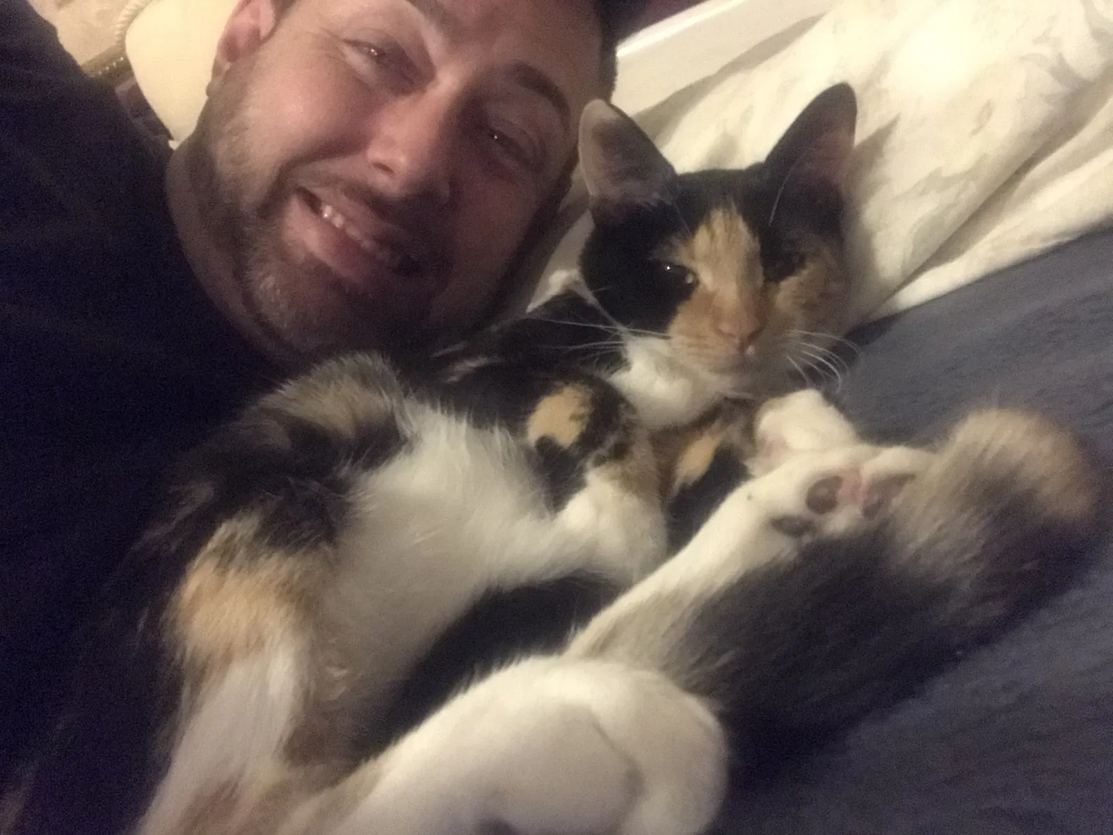 Lost cat in Cape Coral, FL, 33990