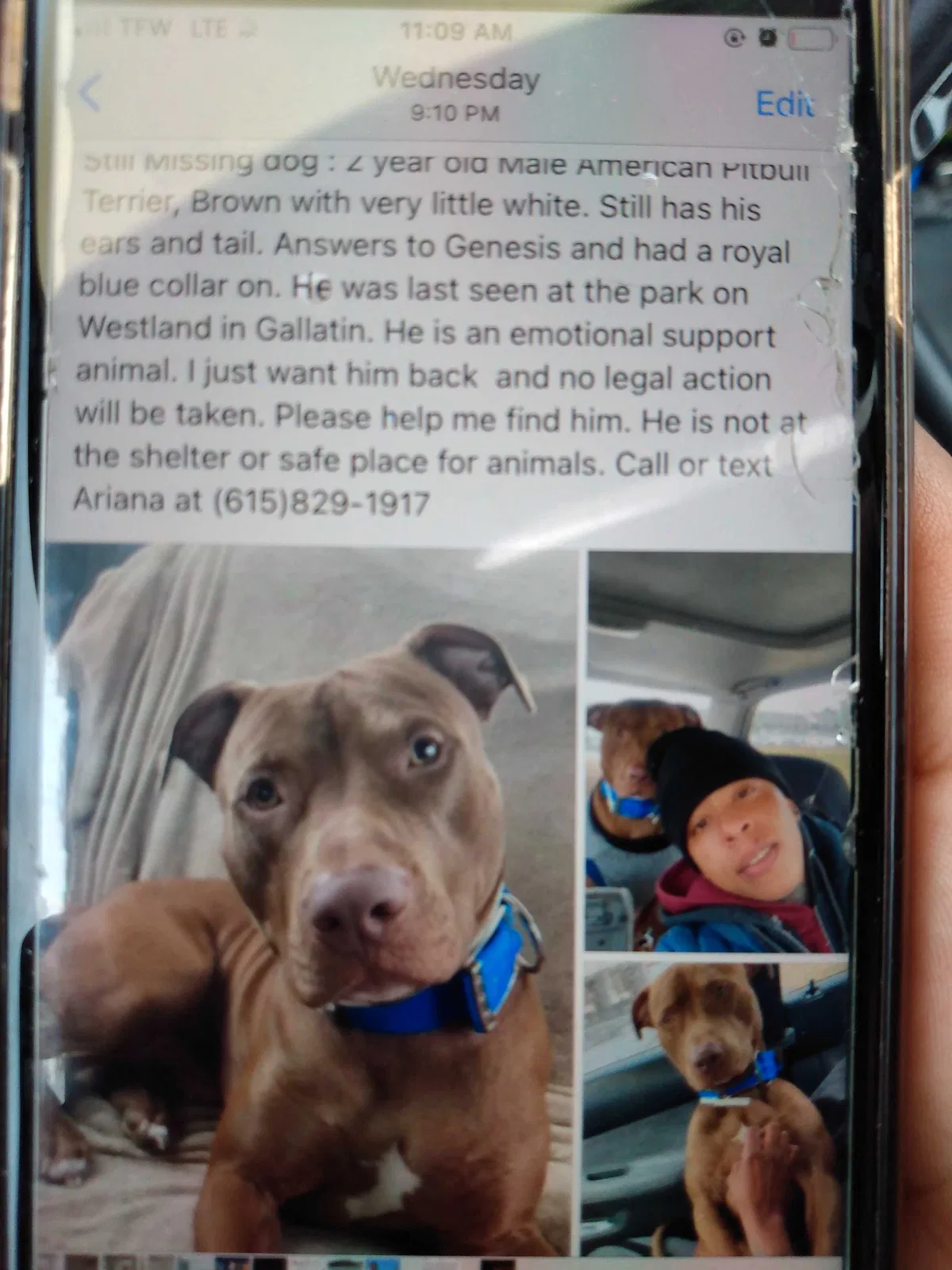Lost dog in Gallatin, TN, 37066