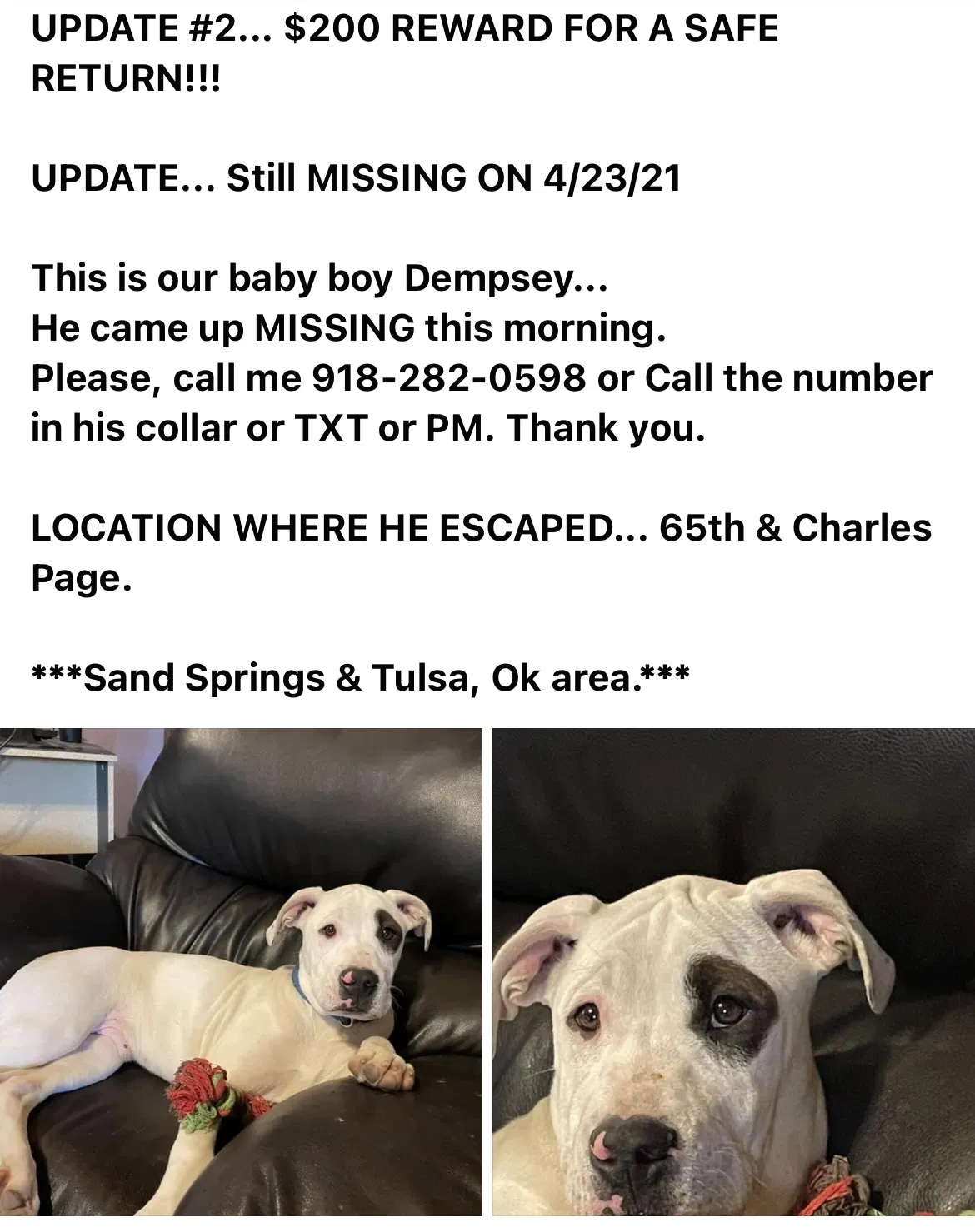 Lost dog in Tulsa, OK, 74127