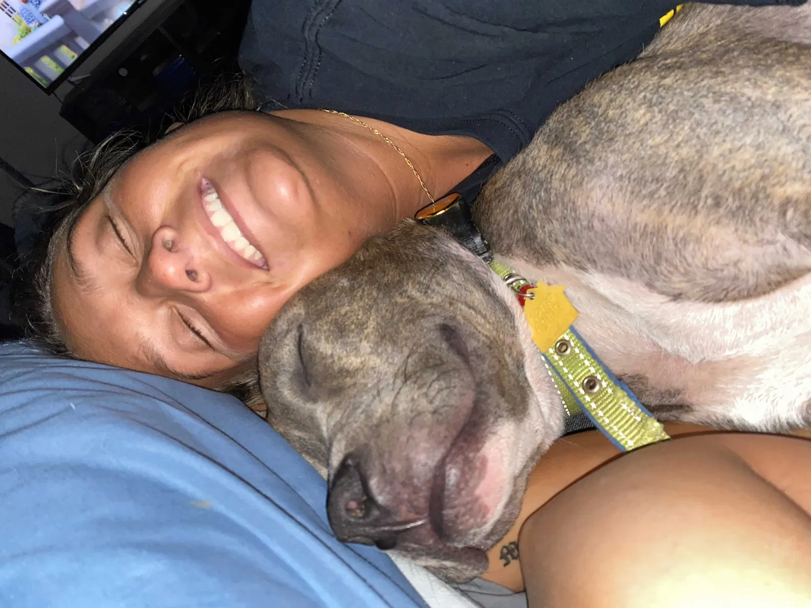 Lost dog in Columbia, SC, 29212