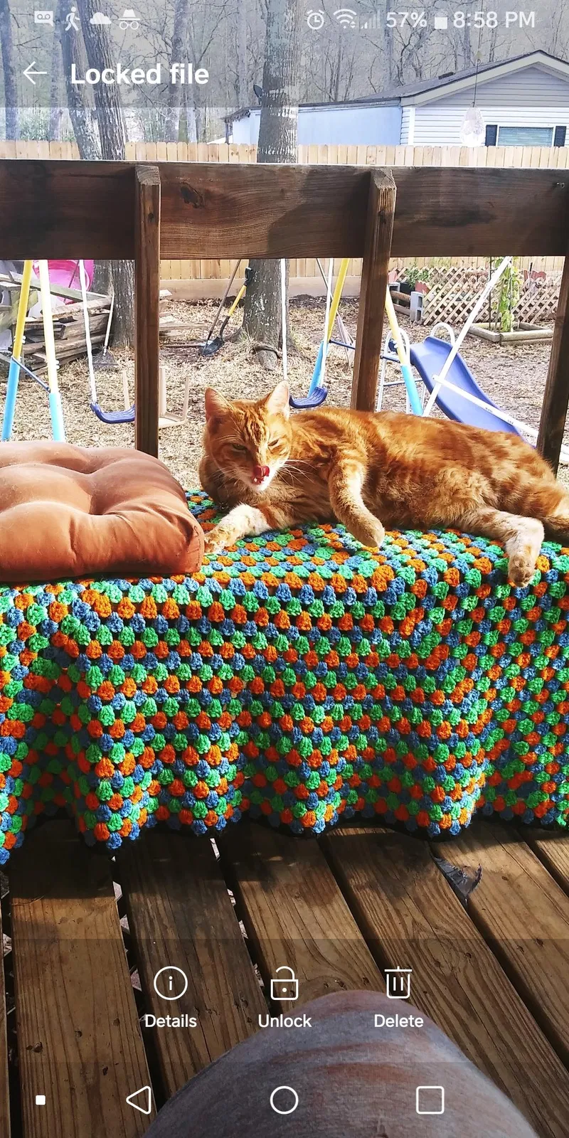Lost cat in Magnolia, TX, 77354