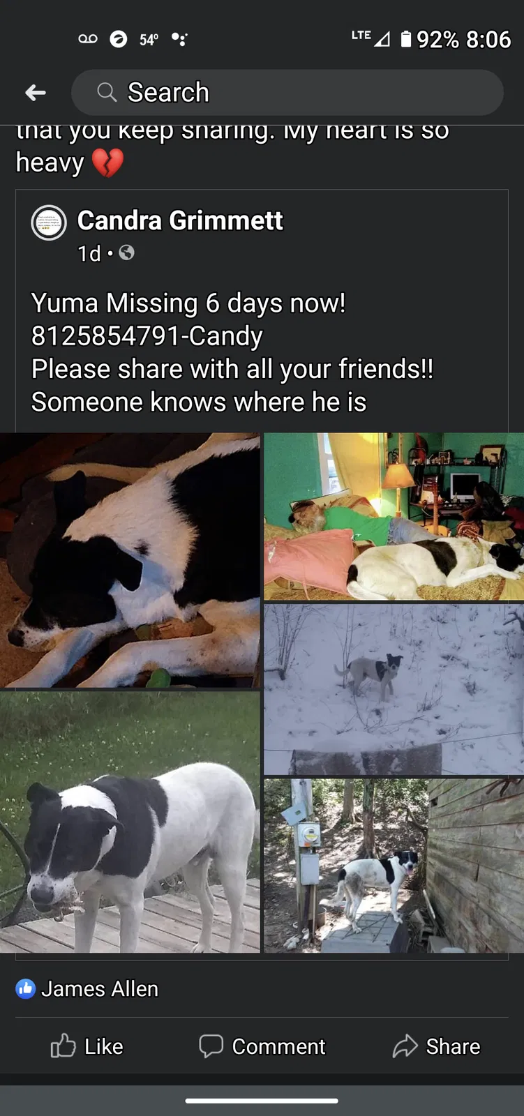 Lost dog in Poland, IN, 47868