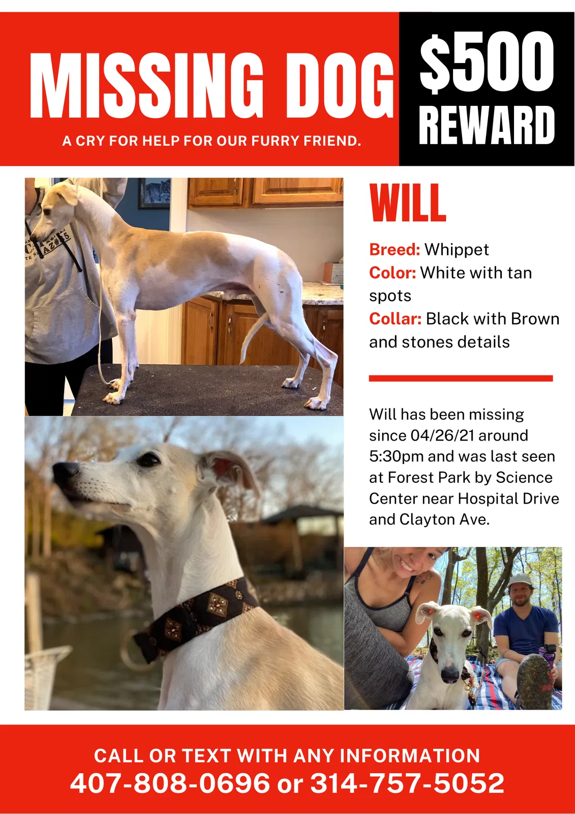 Lost dog in Saint Louis, MO, 63110
