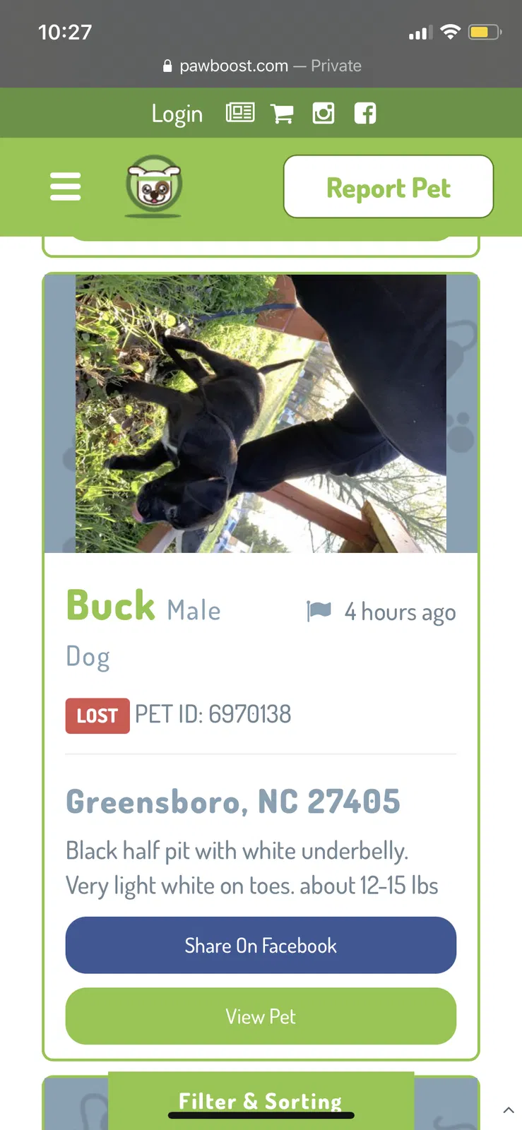 Lost dog in Greensboro, NC, 27405