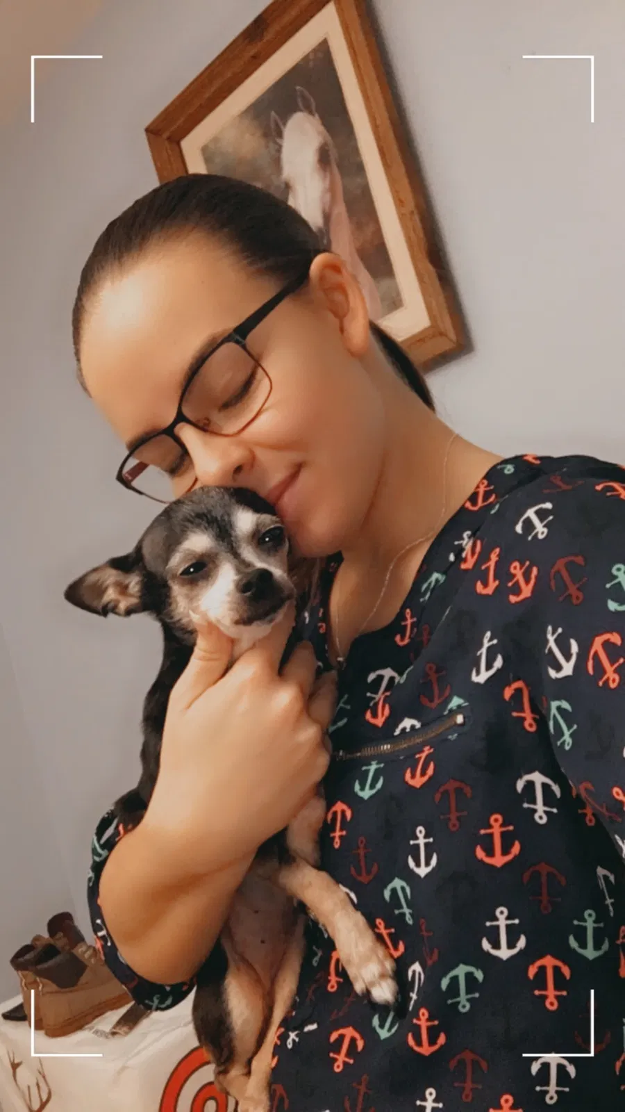 Lost dog in Suffolk, VA, 23434