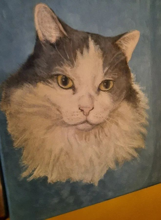 Lost cat in Runnemede, NJ, 8078