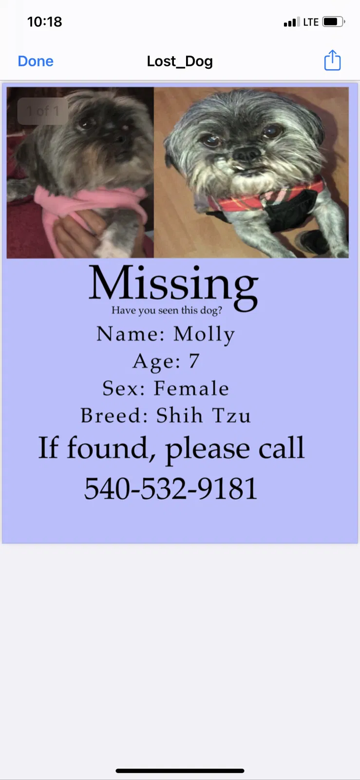 Lost dog in Leesburg, VA, 20175