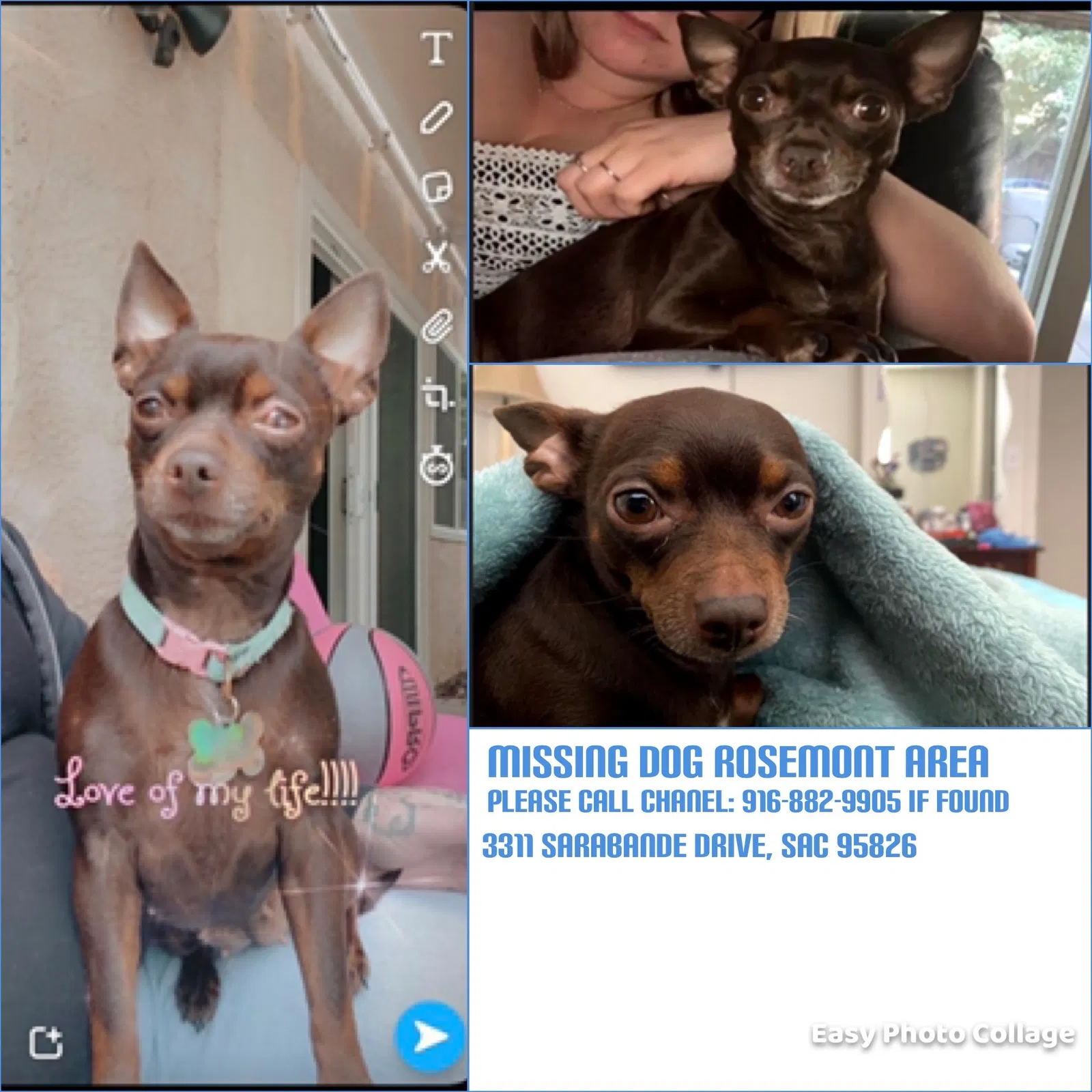 Lost dog in Sacramento, CA, 95826