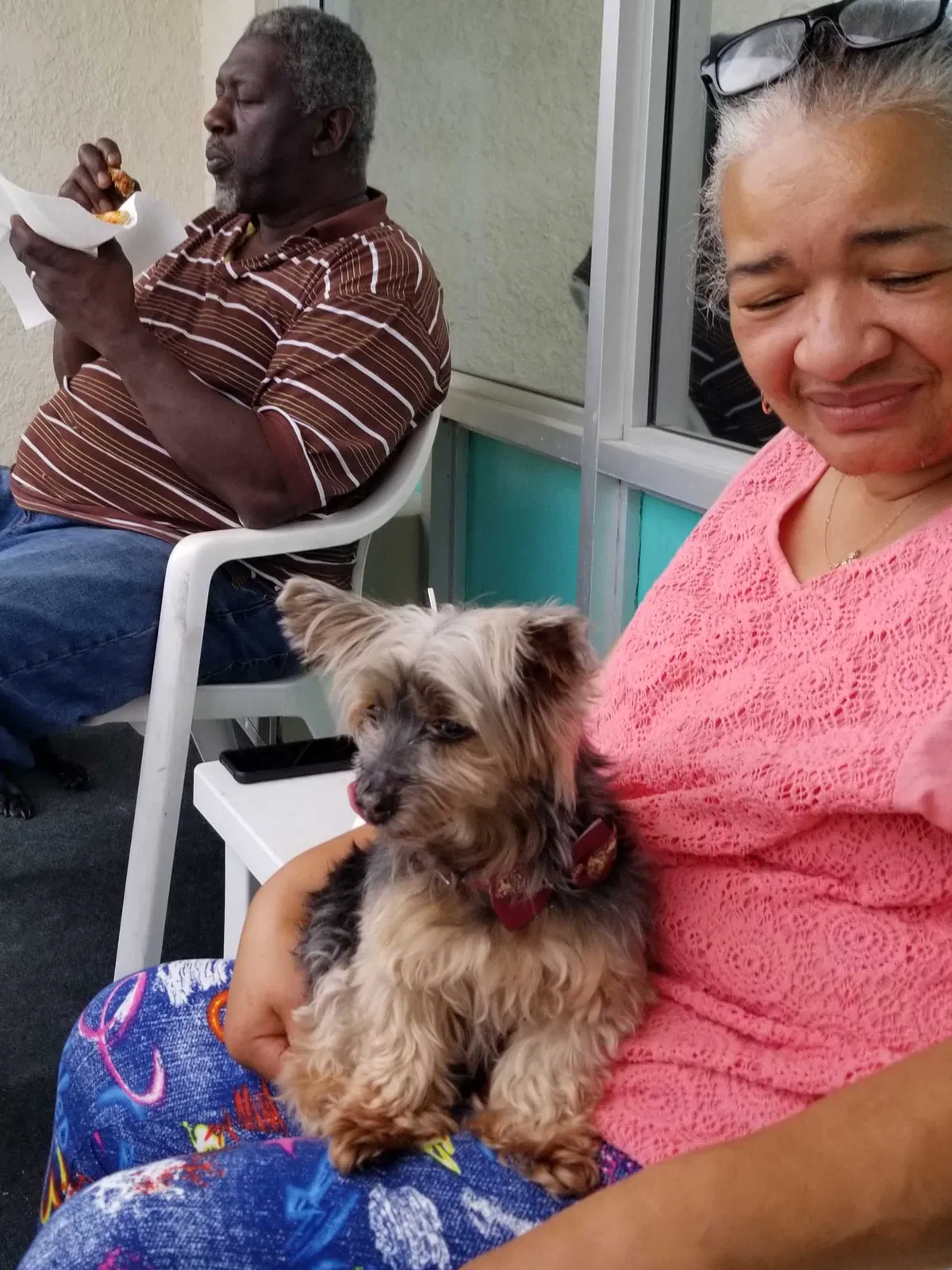 Lost dog in Myrtle Beach, SC, 29577