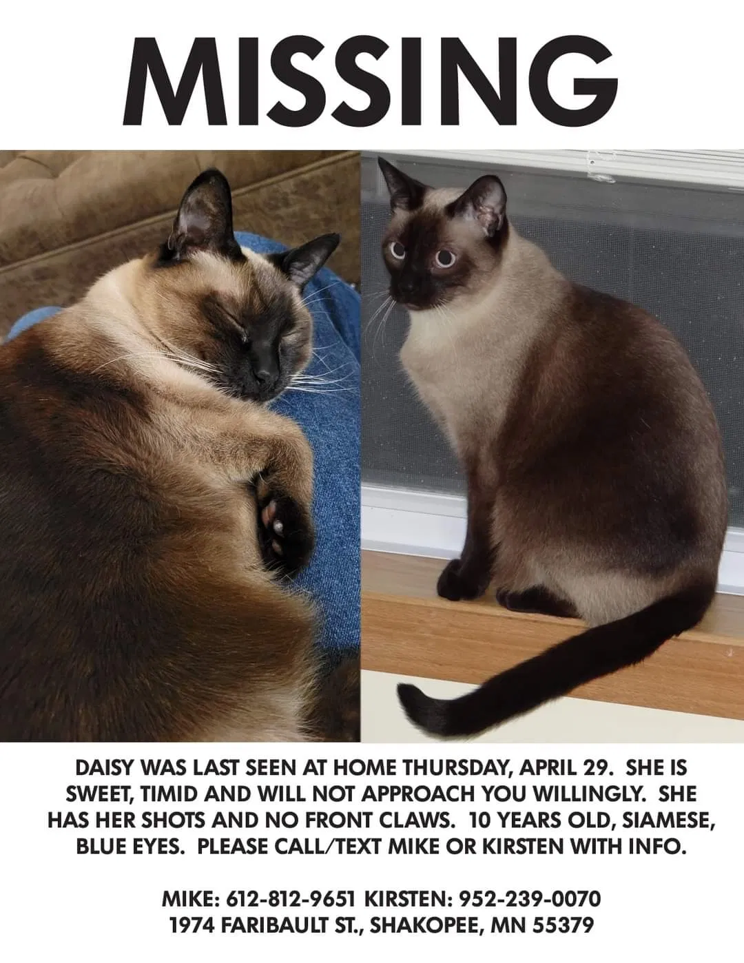 Lost cat in Shakopee, MN, 55379