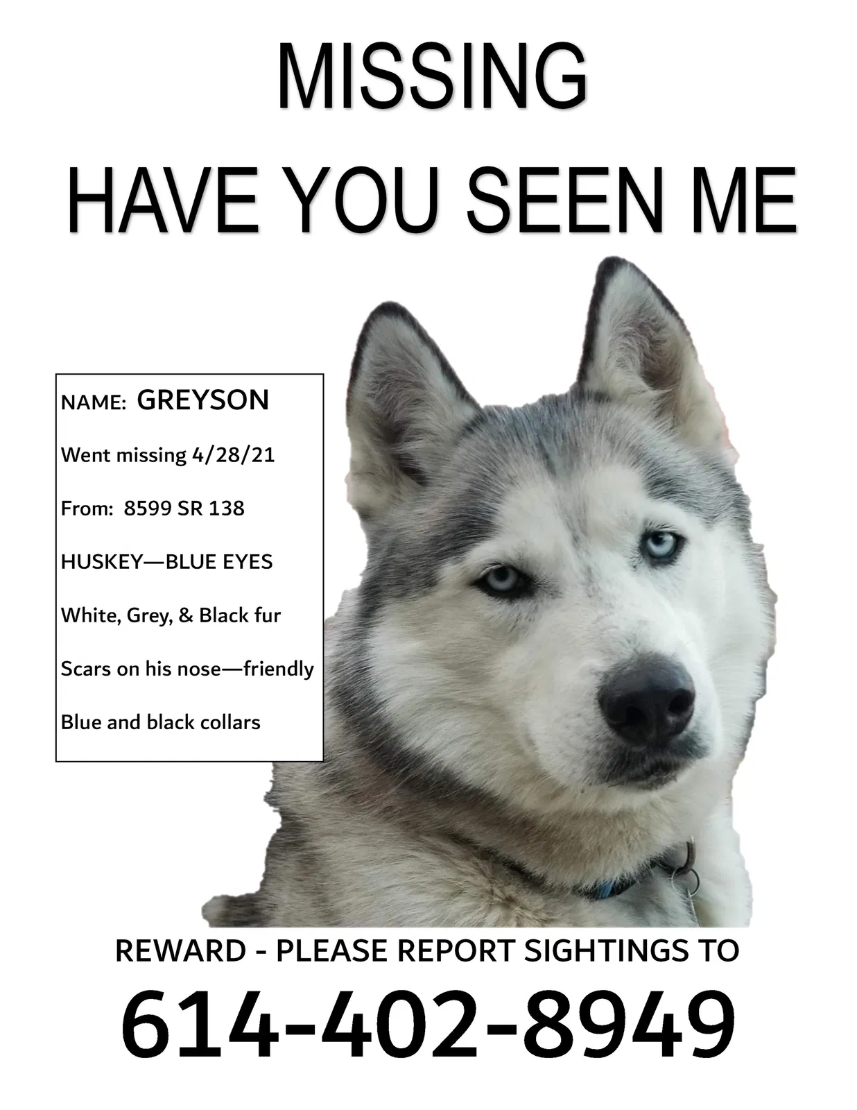 Lost dog in Clarksburg, OH, 43115