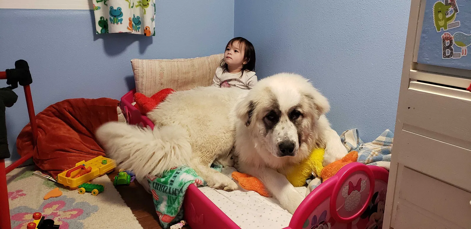 Lost dog in Spokane, WA, 99224