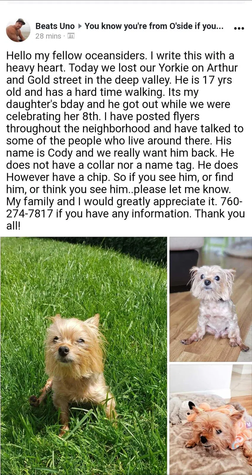 Lost dog in Oceanside, CA, 92057